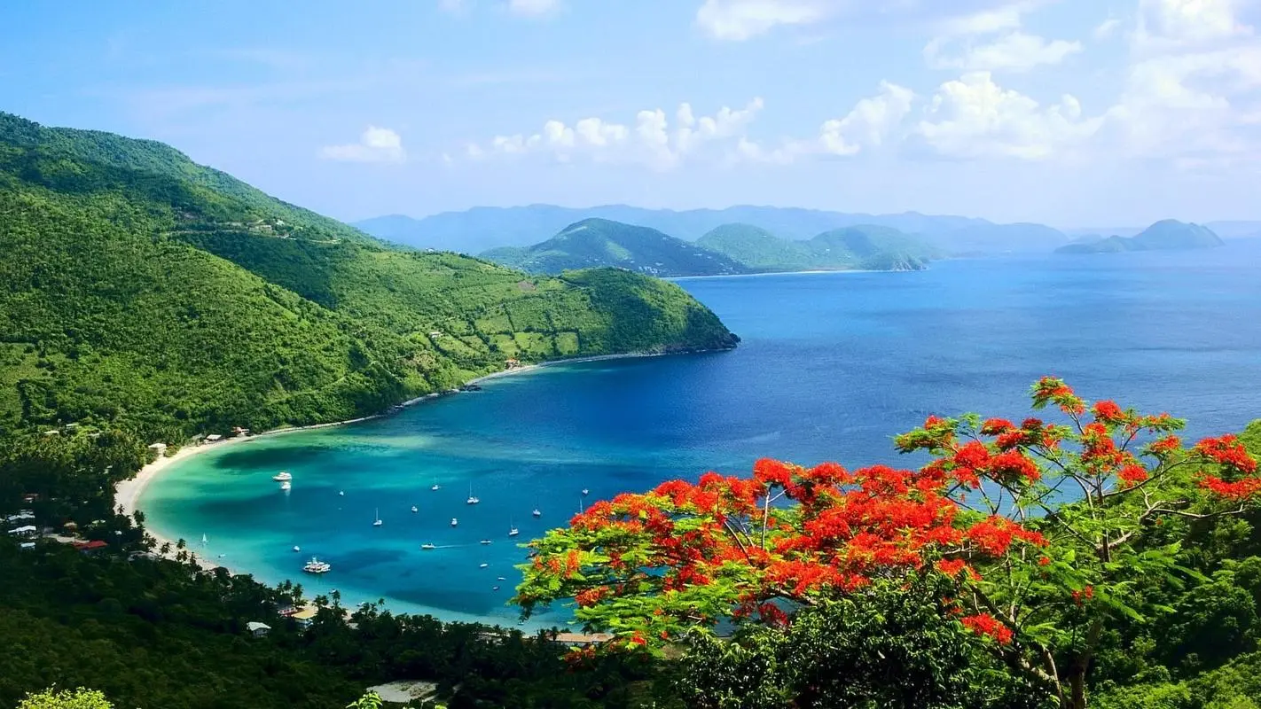 高效高标准独特